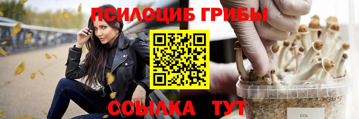 Галлюциногенные грибы MAGIC MUSHROOMS Ульяновск